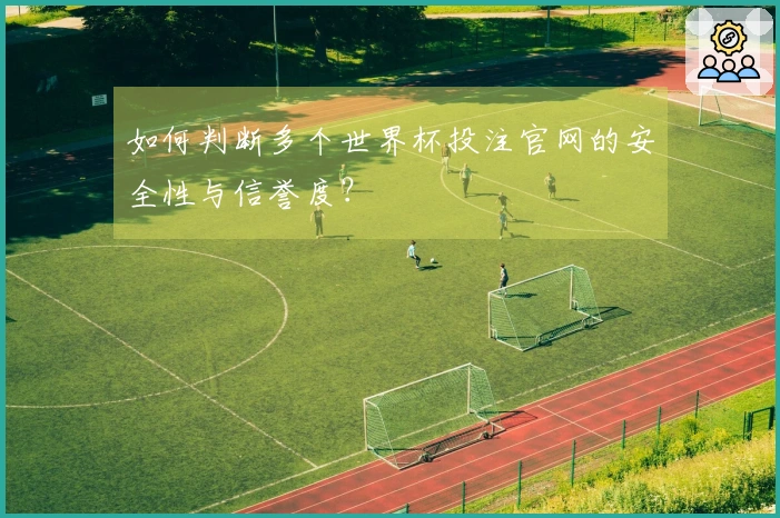 如何判断多个世界杯投注官网的安全性与信誉度？