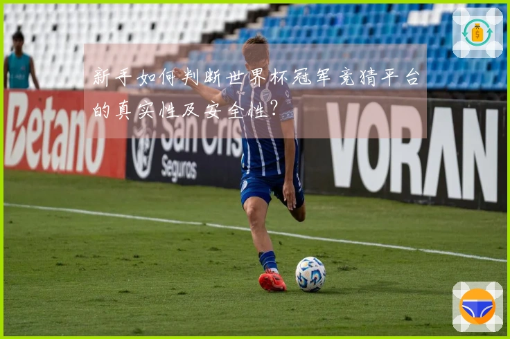 新手如何判断世界杯冠军竞猜平台的真实性及安全性？