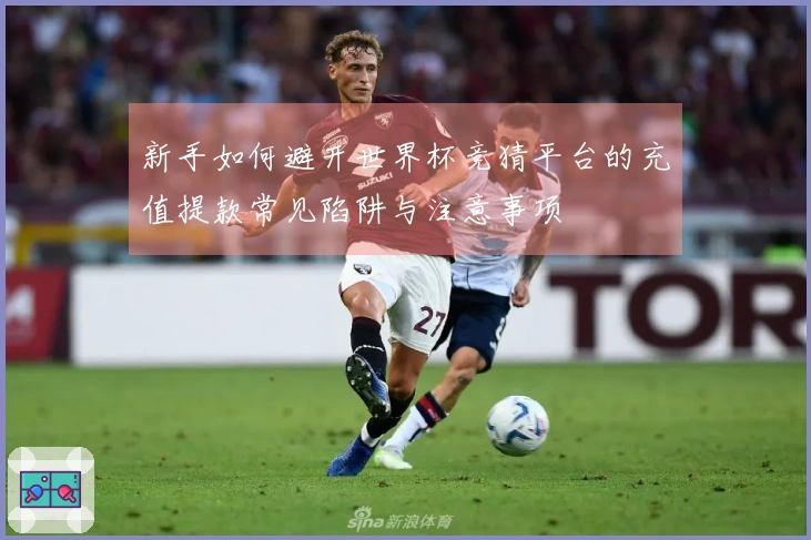 新手如何避开世界杯竞猜平台的充值提款常见陷阱与注意事项