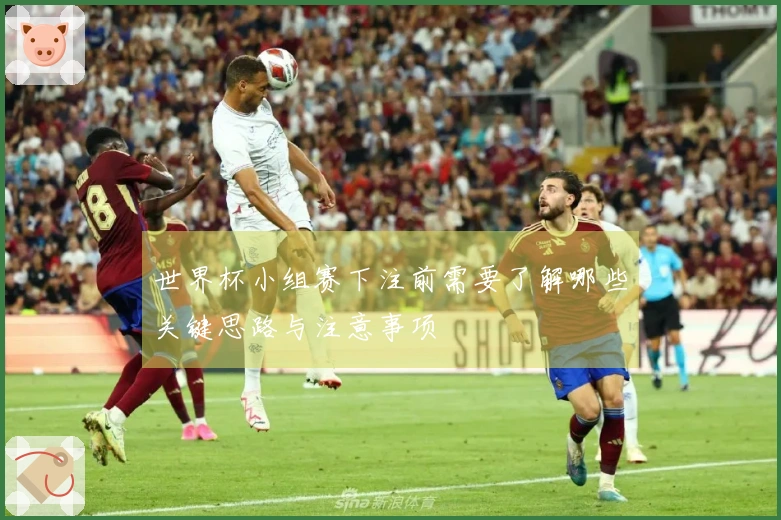 世界杯小组赛下注前需要了解哪些关键思路与注意事项