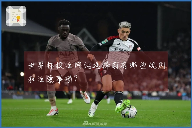 世界杯投注网站选择前有哪些规则和注意事项？