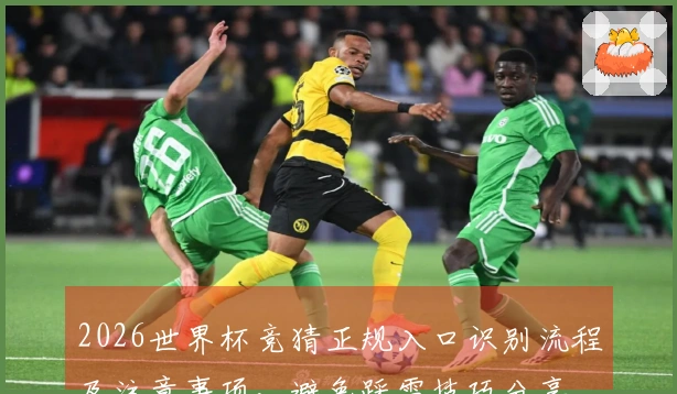 2026世界杯竞猜正规入口识别流程及注意事项，避免踩雷技巧分享