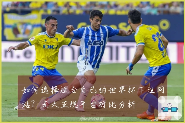 如何选择适合自己的世界杯下注网站？五大正规平台对比分析