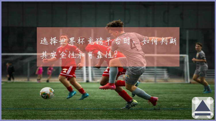 选择世界杯竞猜平台时，如何判断其安全性和可靠性？