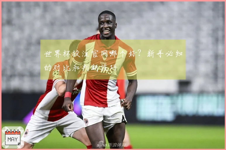 世界杯投注官网哪个好？新手必知的对比和判断技巧