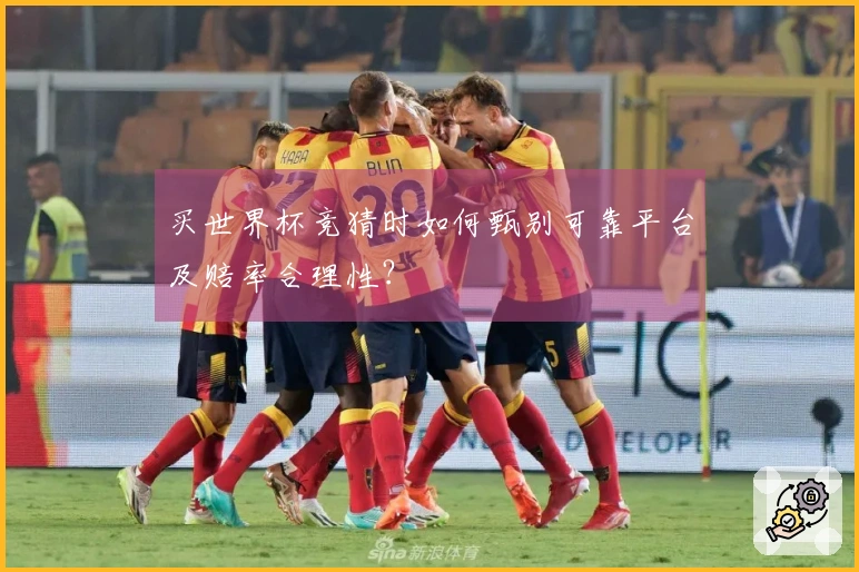 买世界杯竞猜时如何甄别可靠平台及赔率合理性？