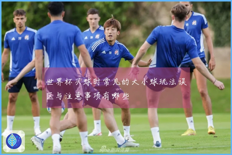 世界杯买球时常见的大小球玩法误区与注意事项有哪些