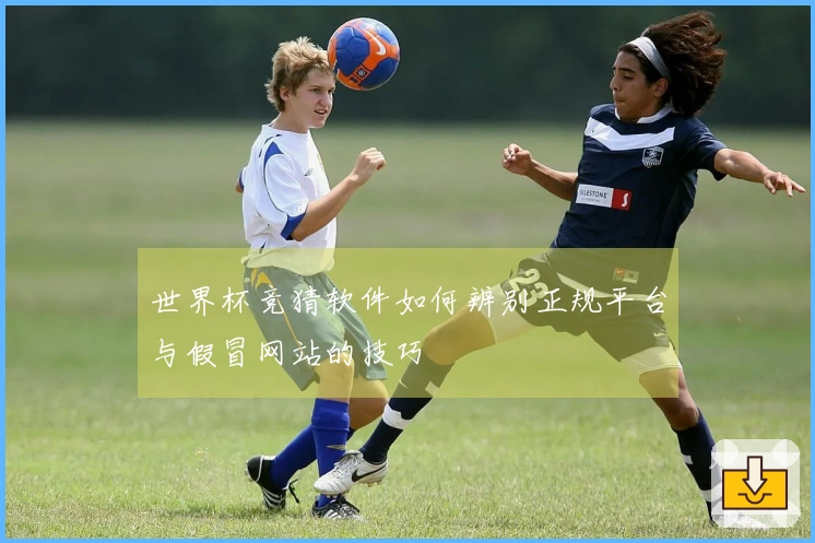 世界杯竞猜软件如何辨别正规平台与假冒网站的技巧