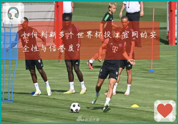 如何判断多个世界杯投注官网的安全性与信誉度？